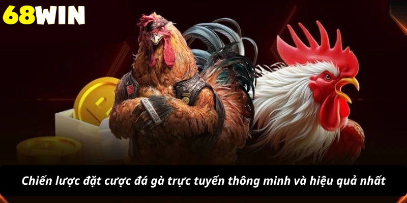 Chiến lược đặt cược đá gà trực tuyến thông minh và hiệu quả nhất