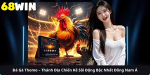 Đá Gà Thomo – Thánh Địa Chiến Kê Sôi Động Bậc Nhất Đông Nam Á