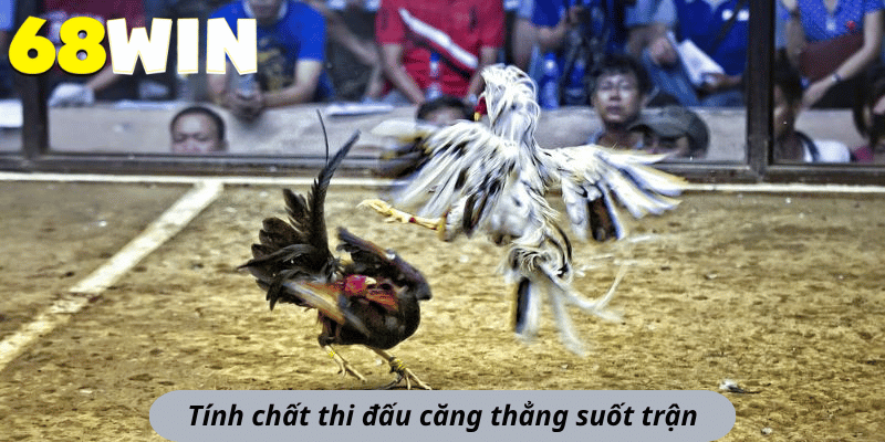Tính chất thi đấu căng thẳng suốt trận