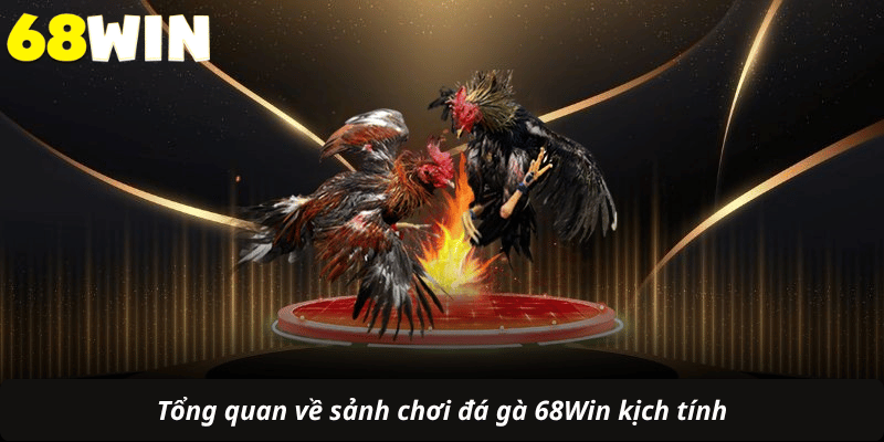 Tổng quan về sảnh chơi đá gà 68Win kịch tính
